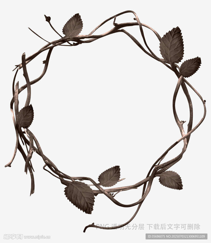藤蔓叶子装饰花环