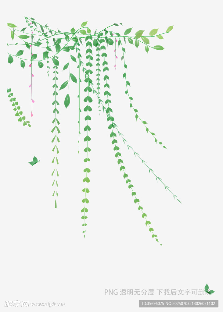 藤蔓绿植装饰元素