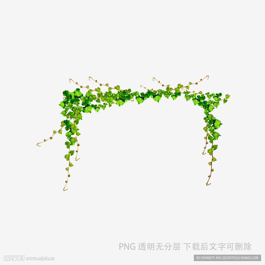 绿色藤蔓装饰边框元素