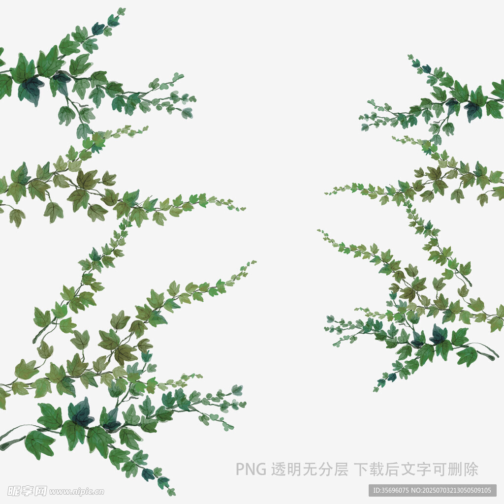 清新绿植装饰图案