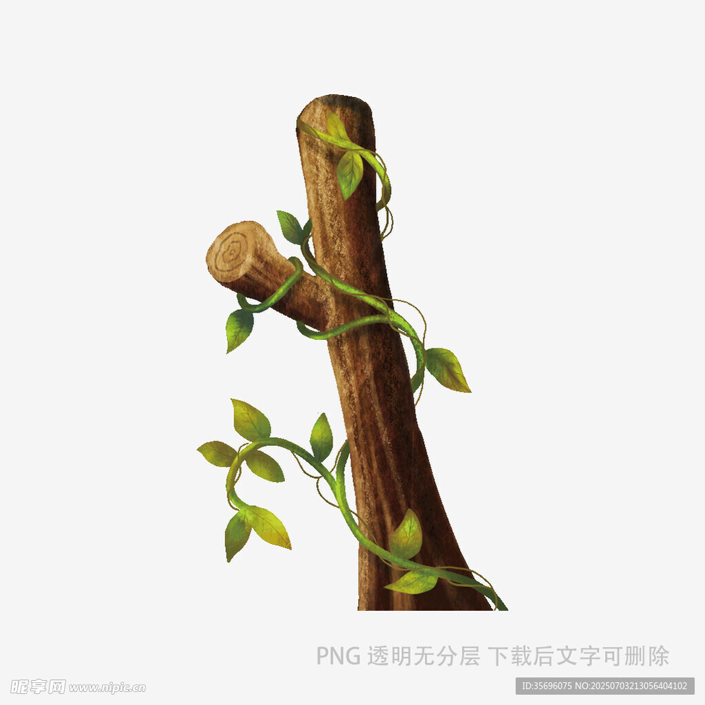 藤蔓缠绕的树干