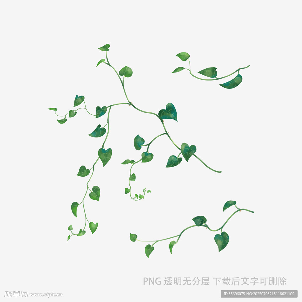 清新藤蔓绿植图案设计