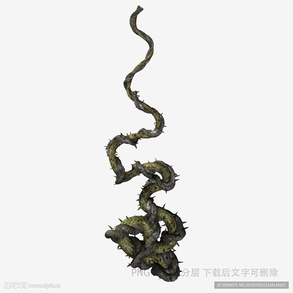蜷曲的绿色藤蔓植物