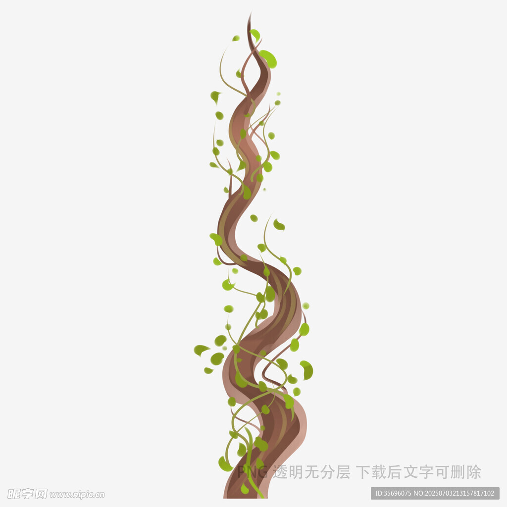 蜿蜒藤蔓绿植插画