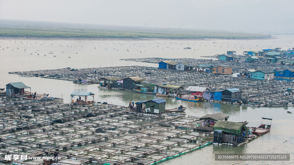 霞浦养殖基地