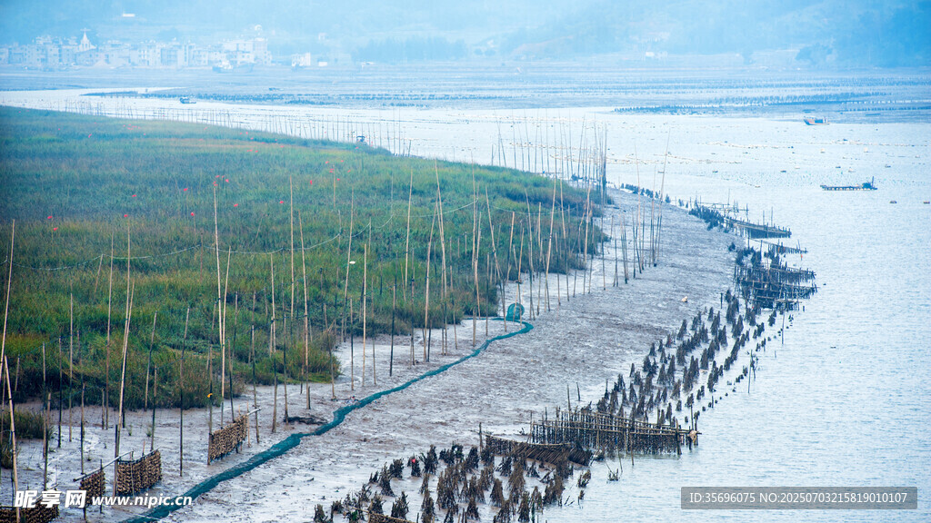 霞浦养殖基地