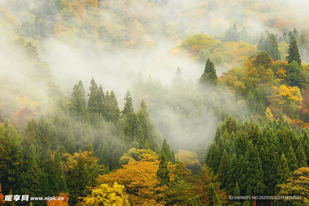 秋日山林云雾缭绕美景