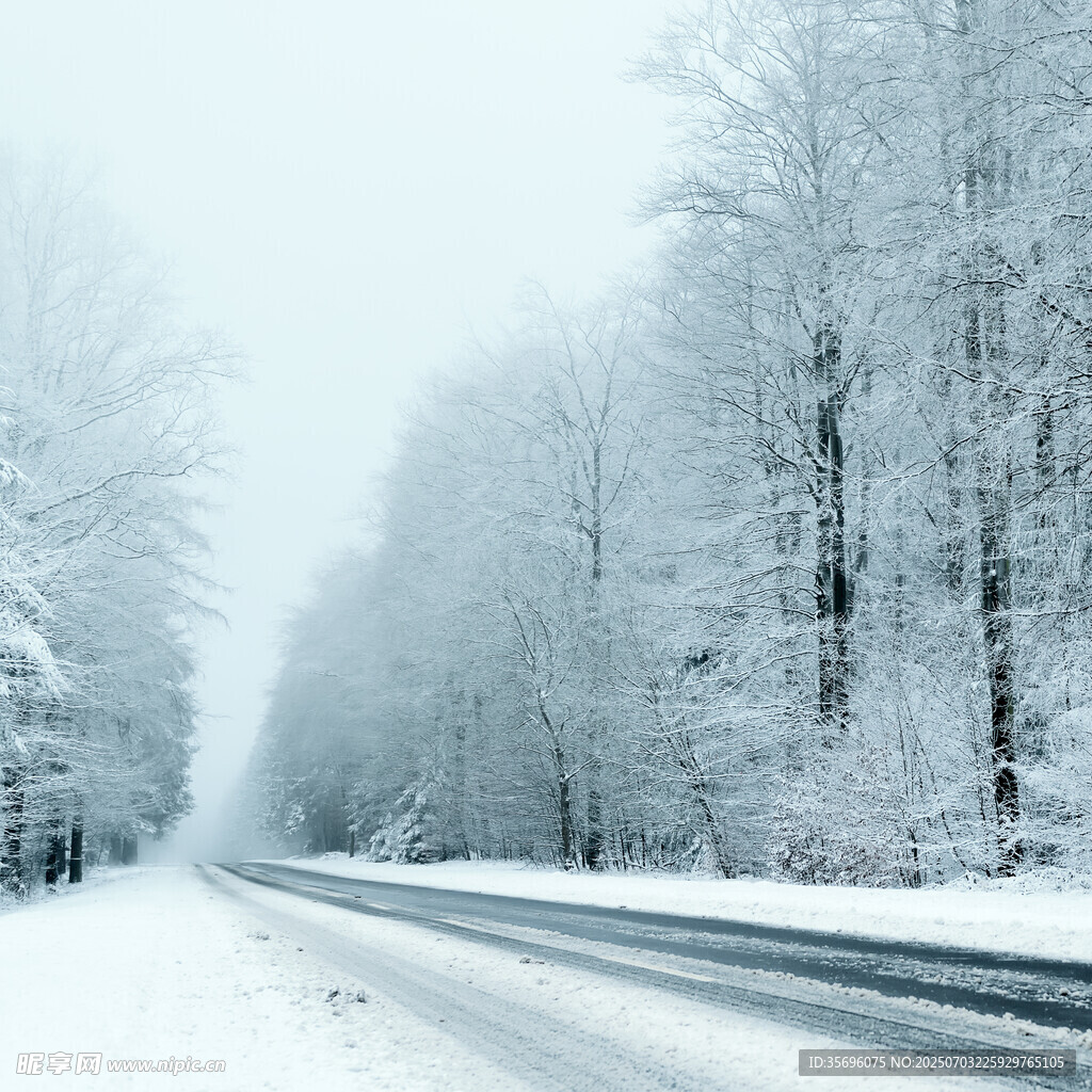 冬日雪覆公路的静谧景象