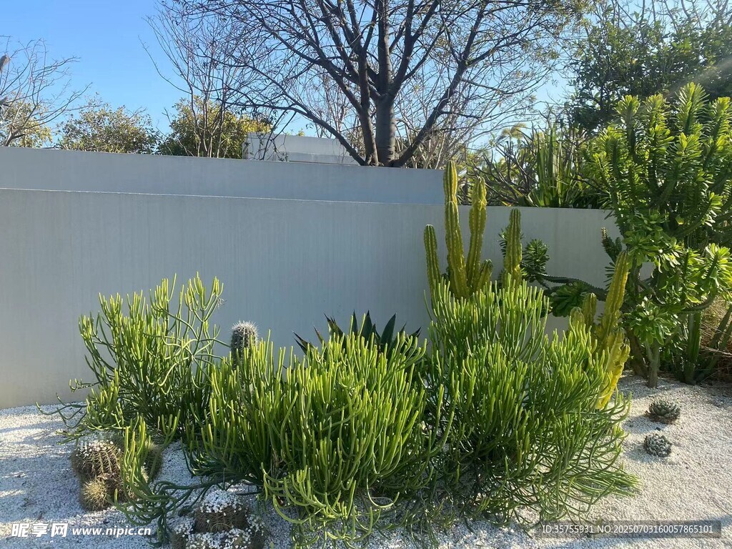 现代简约风庭院绿植景观