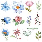 水彩手绘花卉图案集合