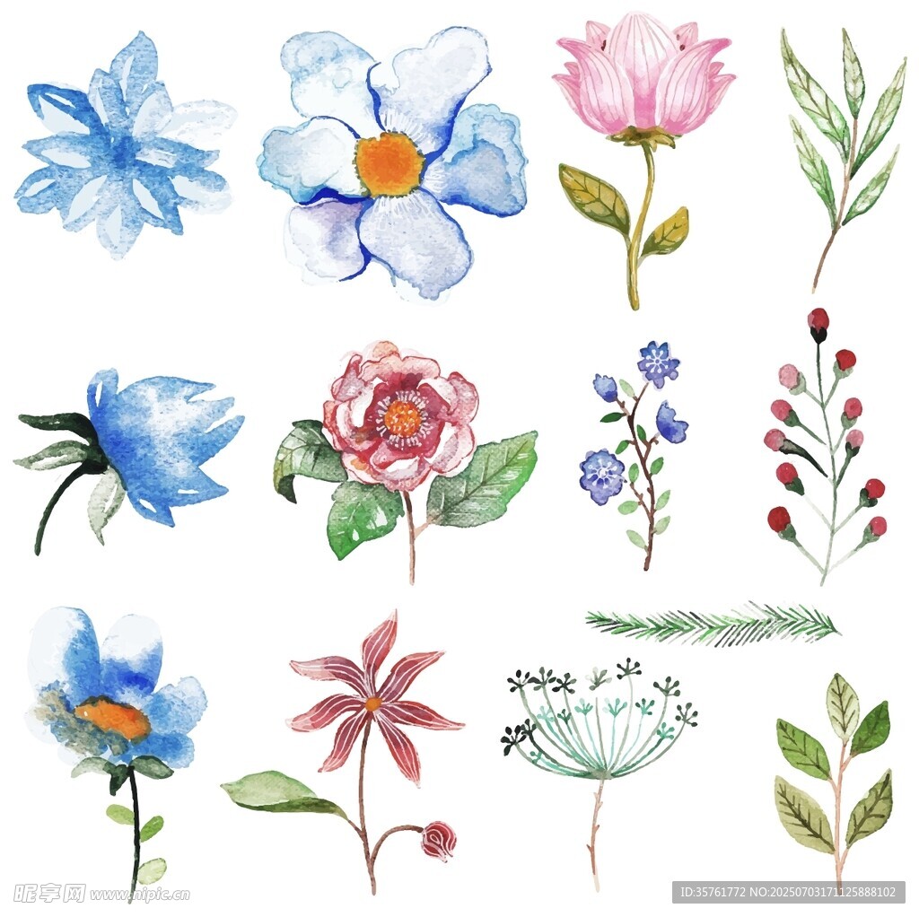 水彩手绘花卉图案集合