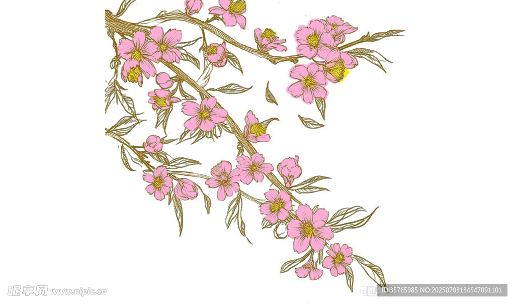 粉色桃花枝绽放