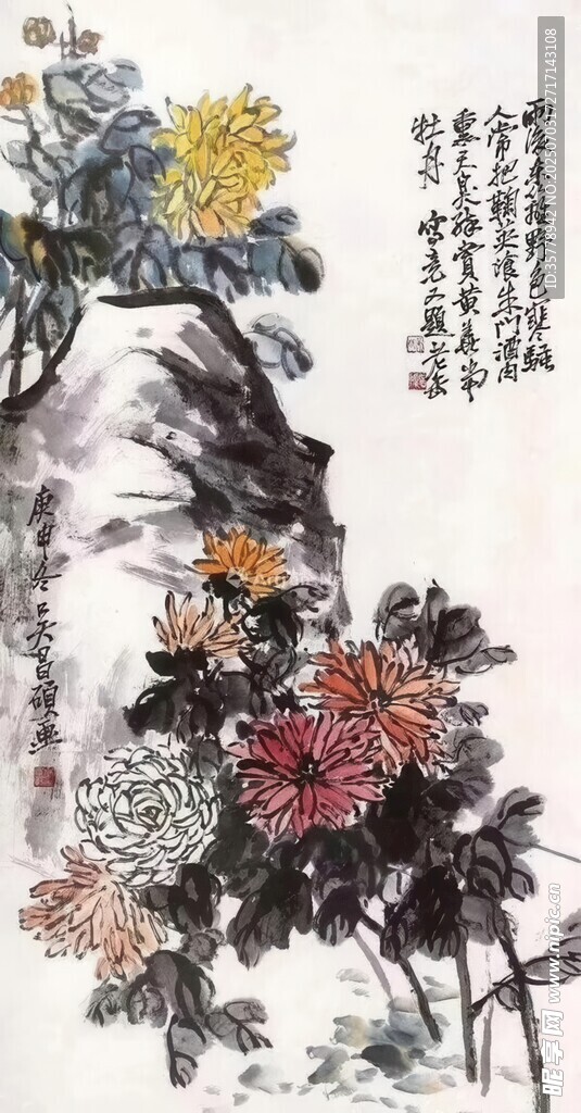 国画菊花图