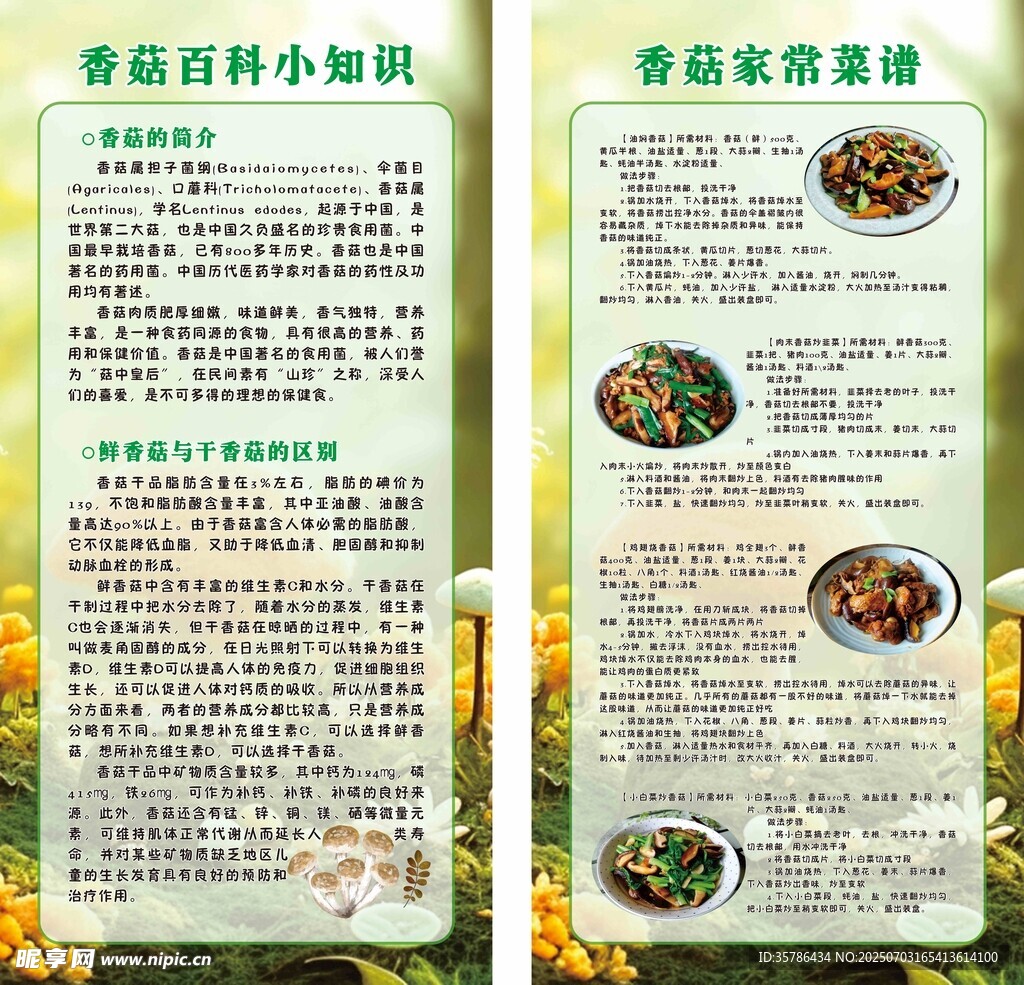 香菇百科知识食用菌展板海报