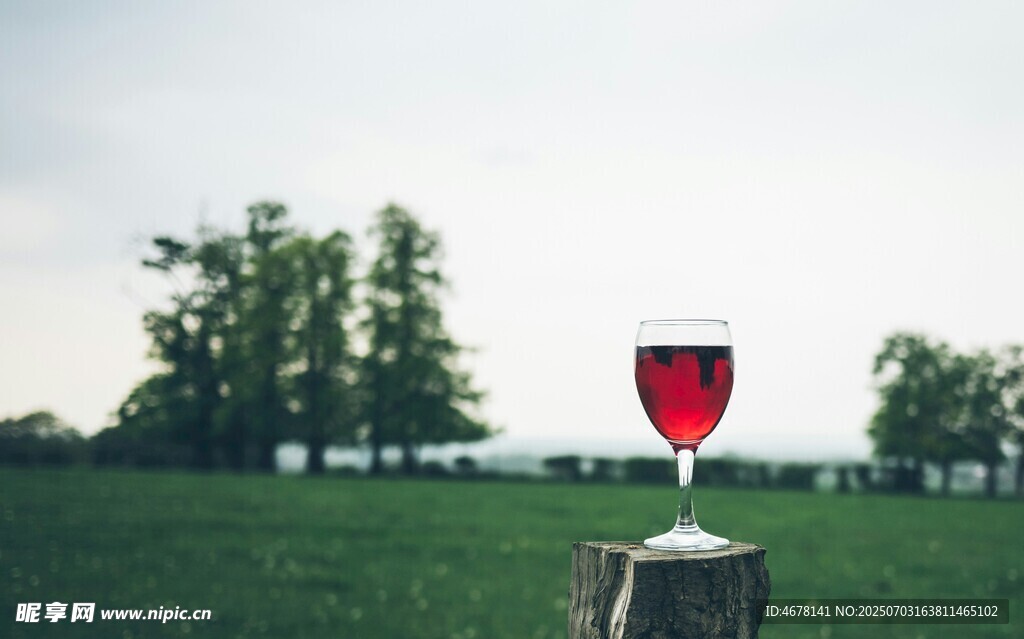 田野中一杯红酒的惬意