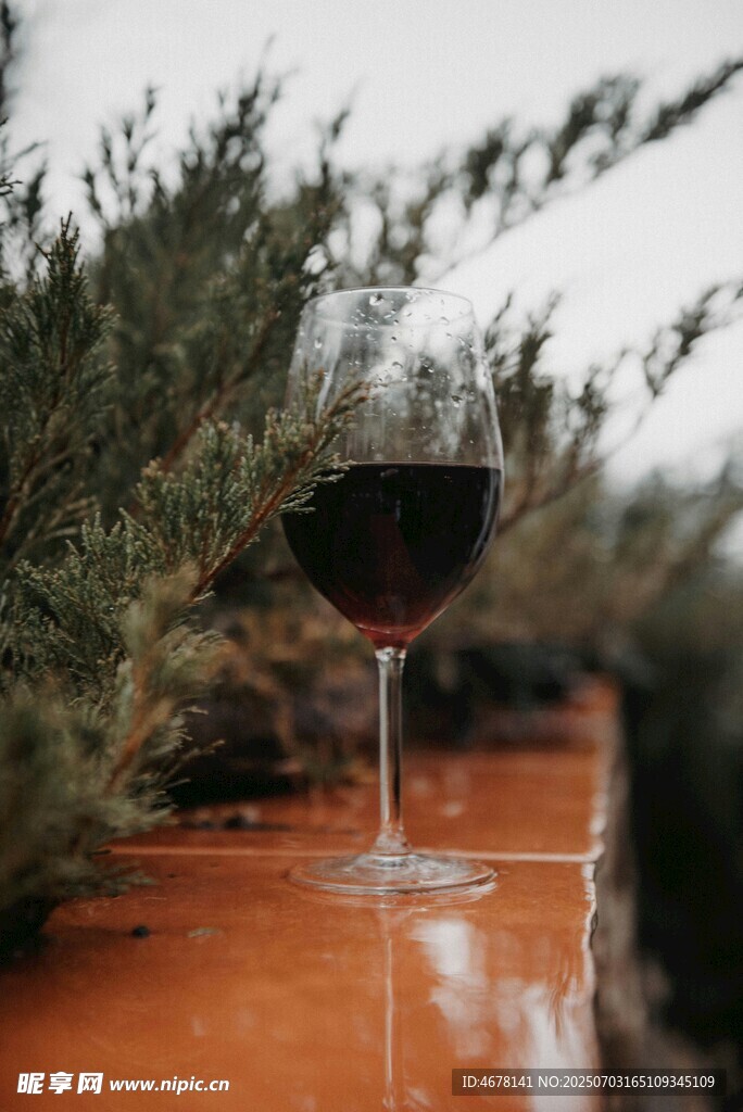 户外红葡萄酒与绿植景致