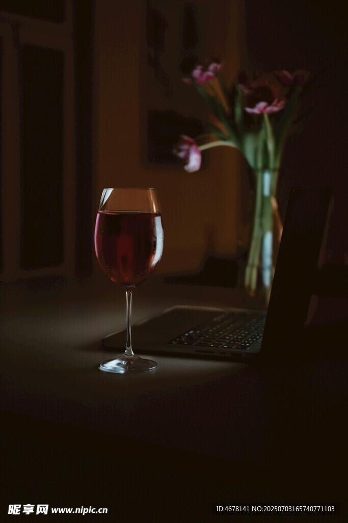 暗夜中的红酒与绿植