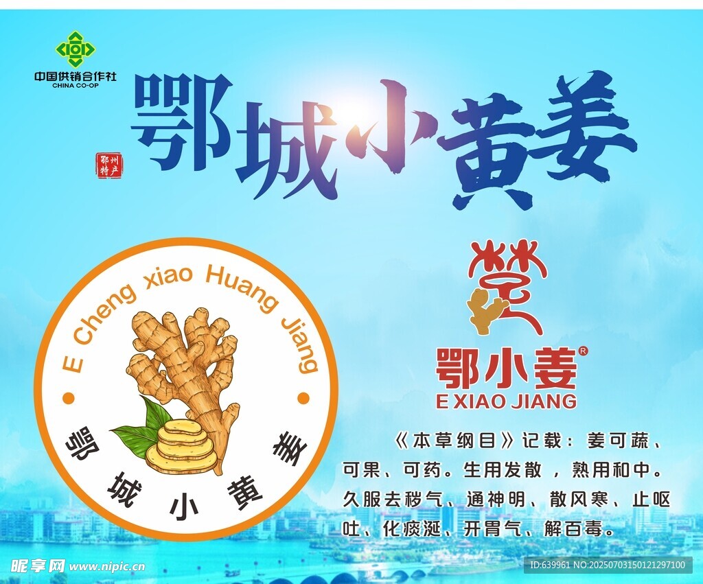 鄂城小黄姜