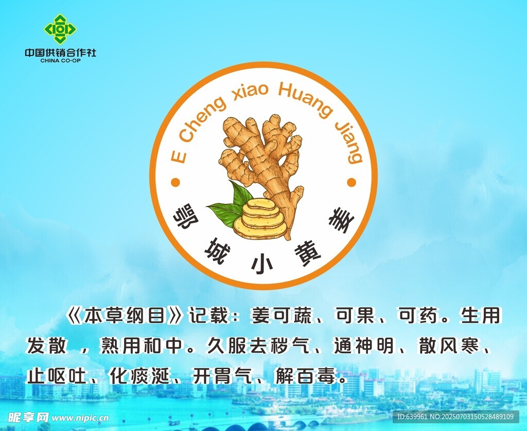 鄂城小黄姜
