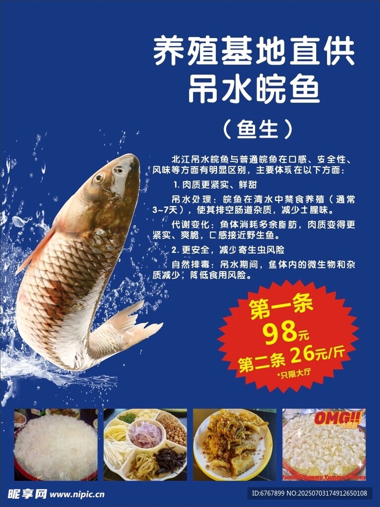 养殖基地直供带水锦鲤鱼