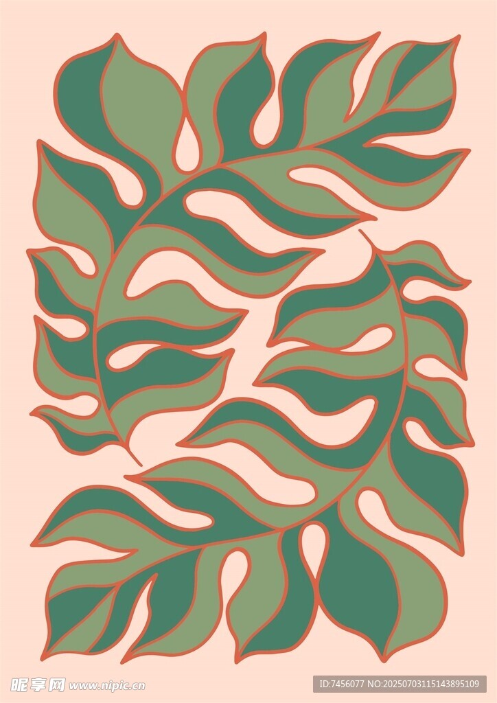 热带风龟背竹叶插画