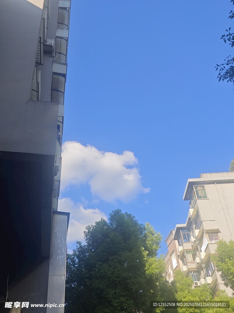 蓝天绿树间的楼宇