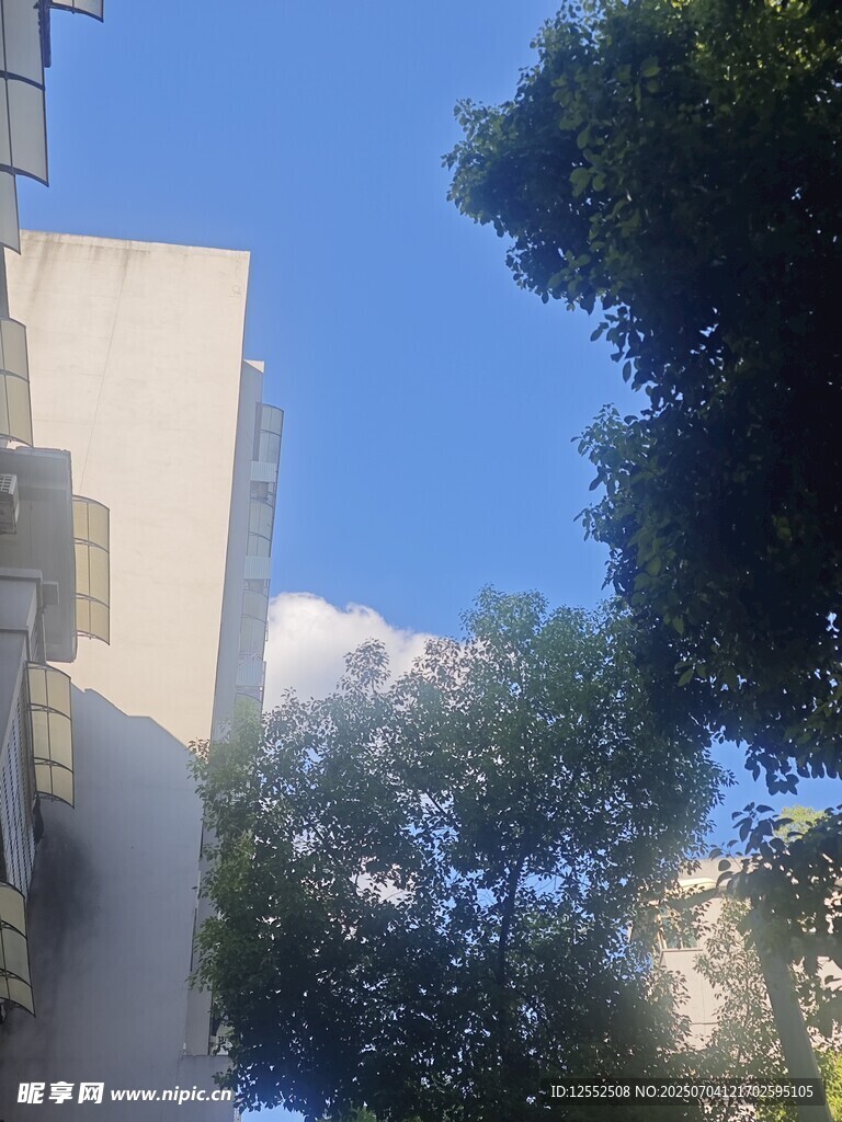 高楼旁绿树蓝天景致