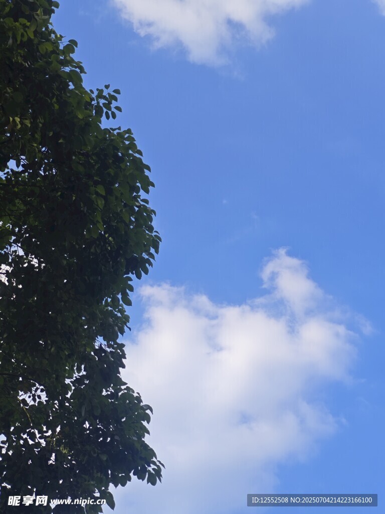 蓝天绿树间的白云美景