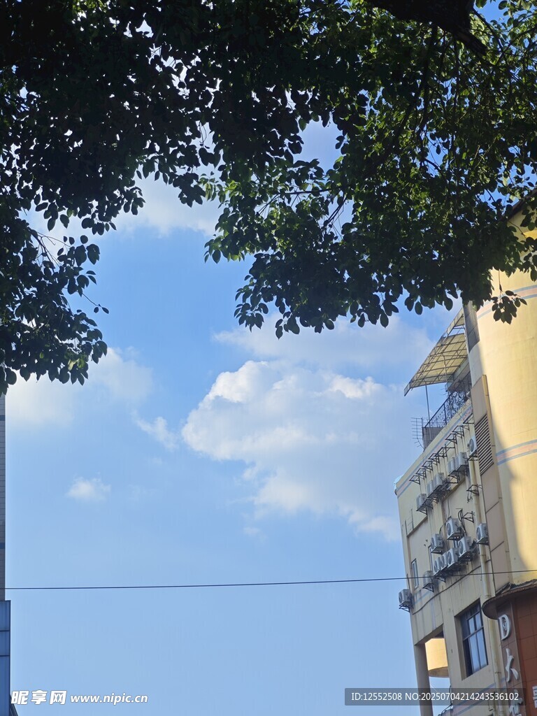 蓝天绿树旁的城市建筑