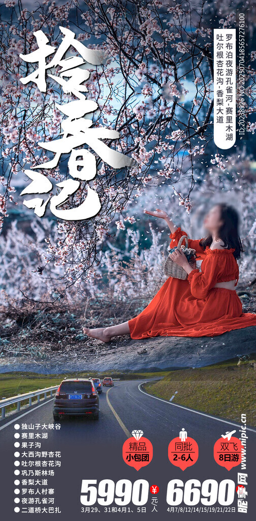 拾春记海报