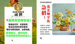 插花艺术培训招生海报