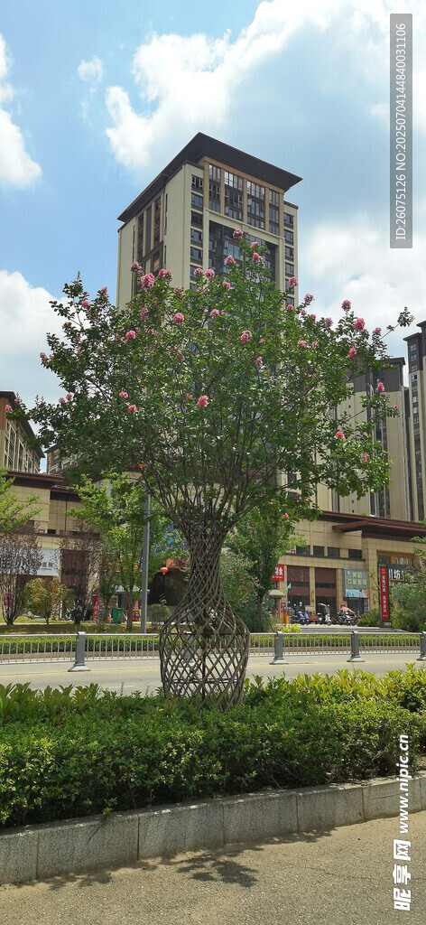 小区周边景致