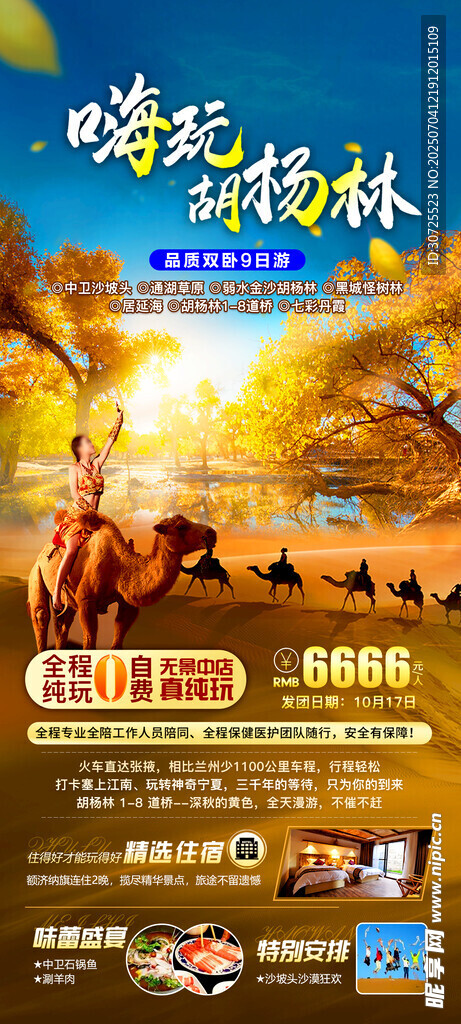 嗨玩胡杨林