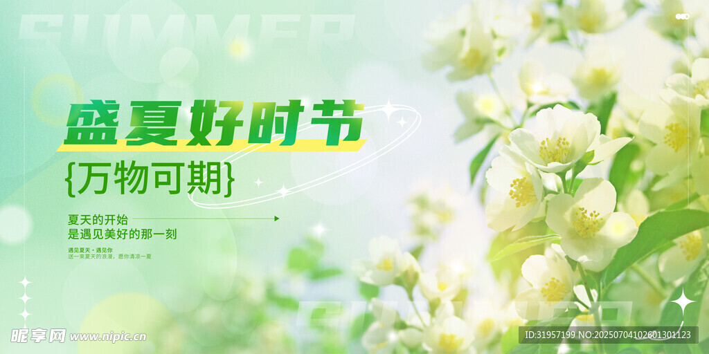 盛夏好时节