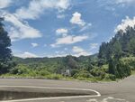 蜿蜒公路旁的葱郁山林