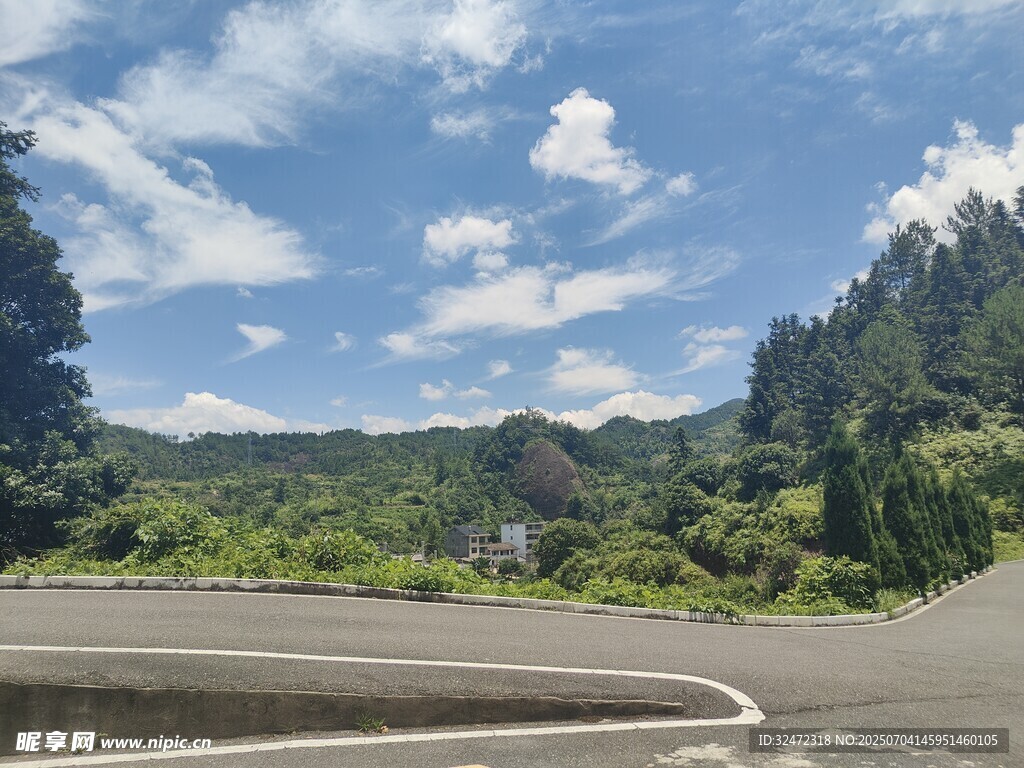 蜿蜒公路旁的葱郁山林
