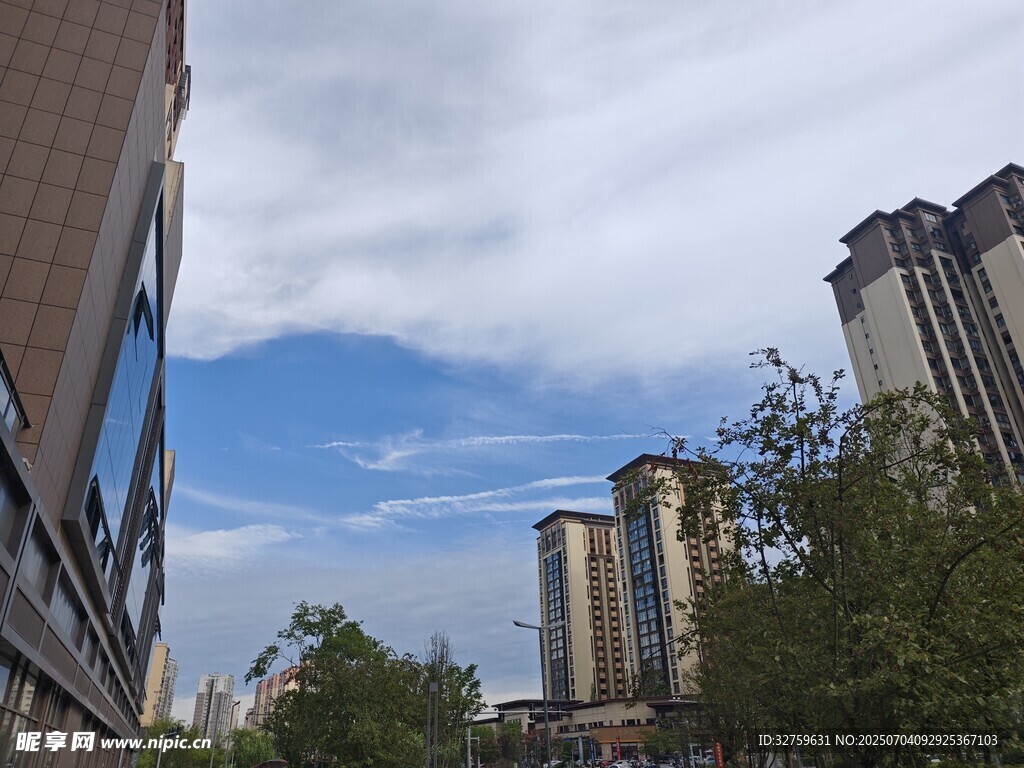 城市街道旁的高楼与绿树