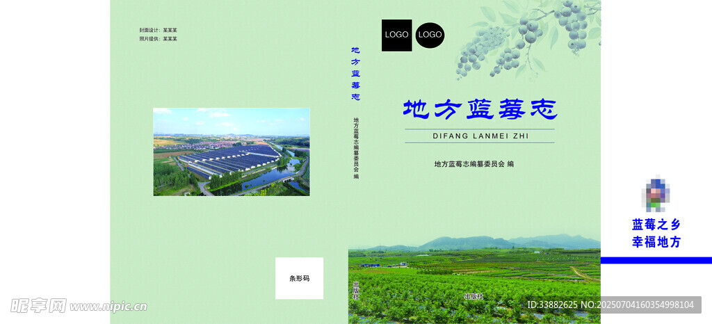 蓝莓封面