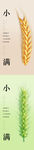 小满节气海报
