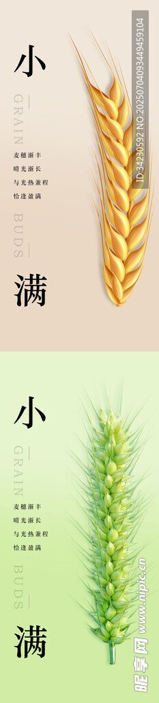 小满节气海报