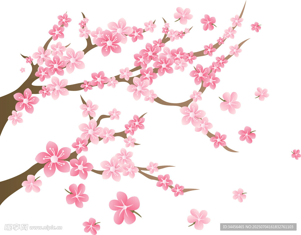 粉色烂漫樱花枝