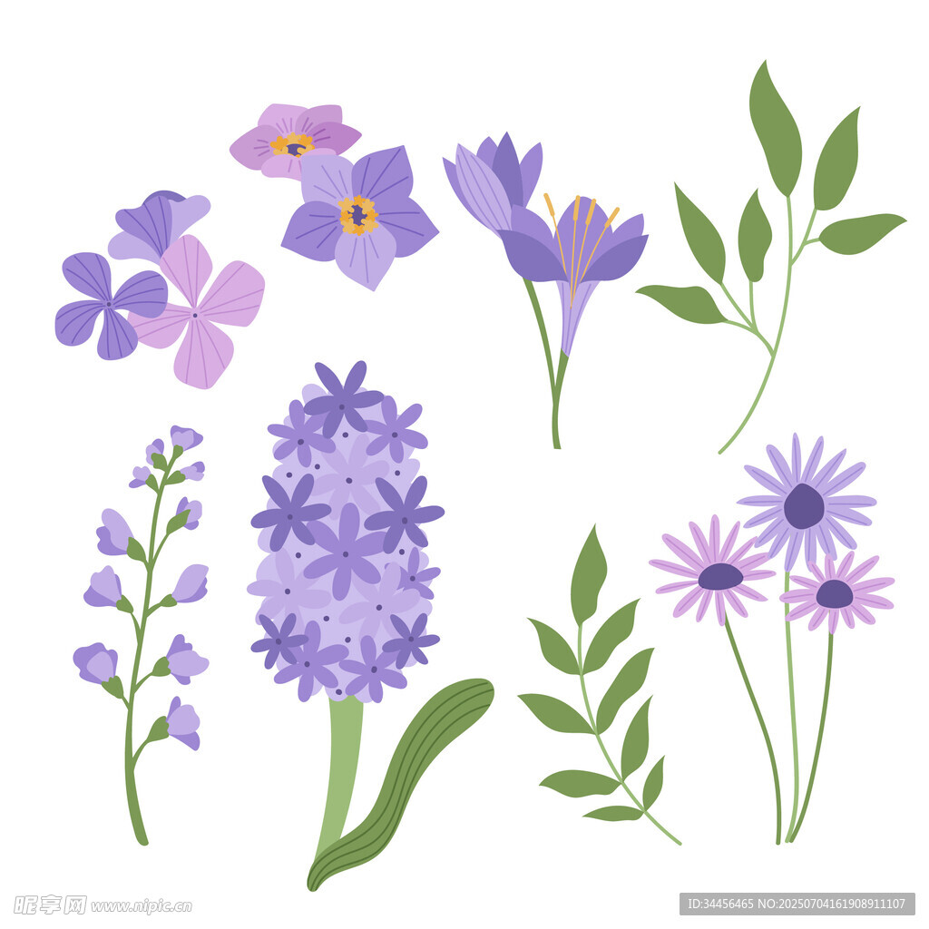 紫色花卉植物插画素材