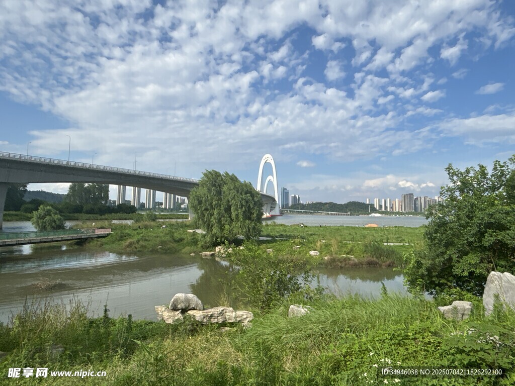 河畔桥梁风景
