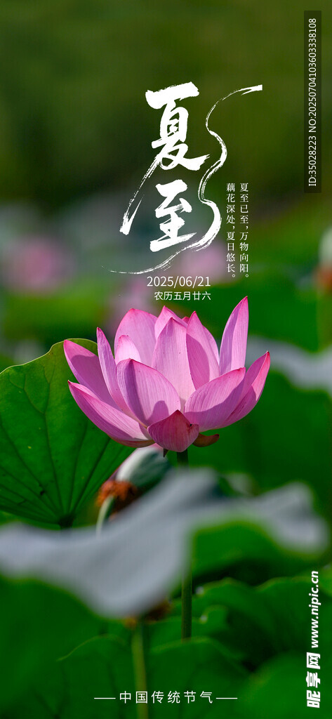 夏至海报