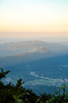 山