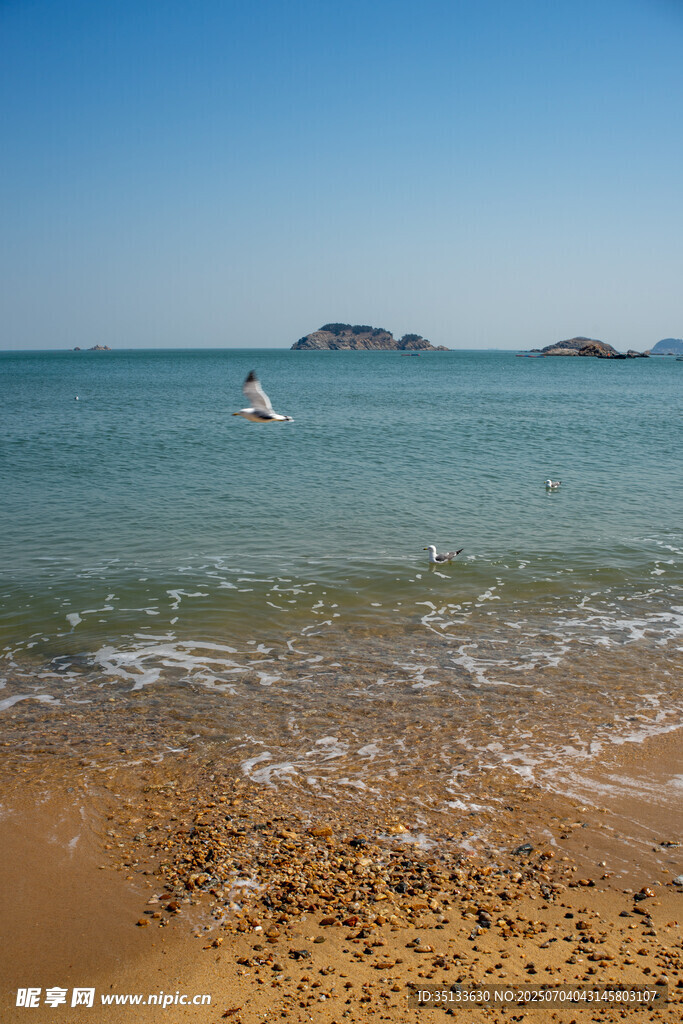 海
