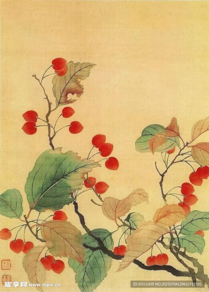国画红果