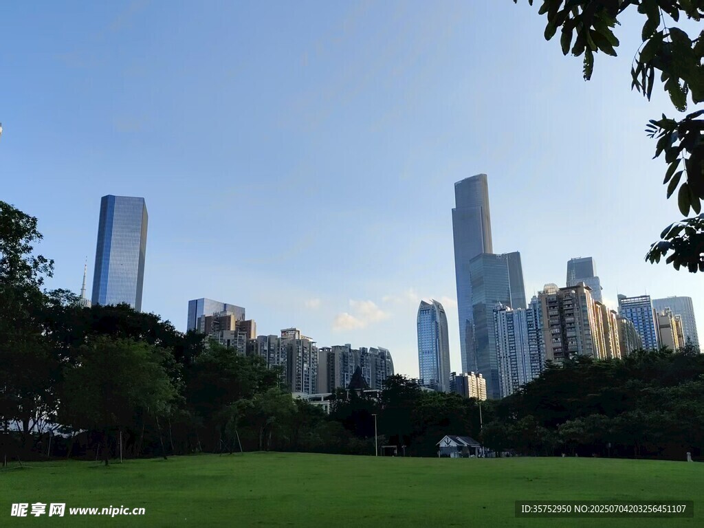 城市绿地与摩天大楼景观