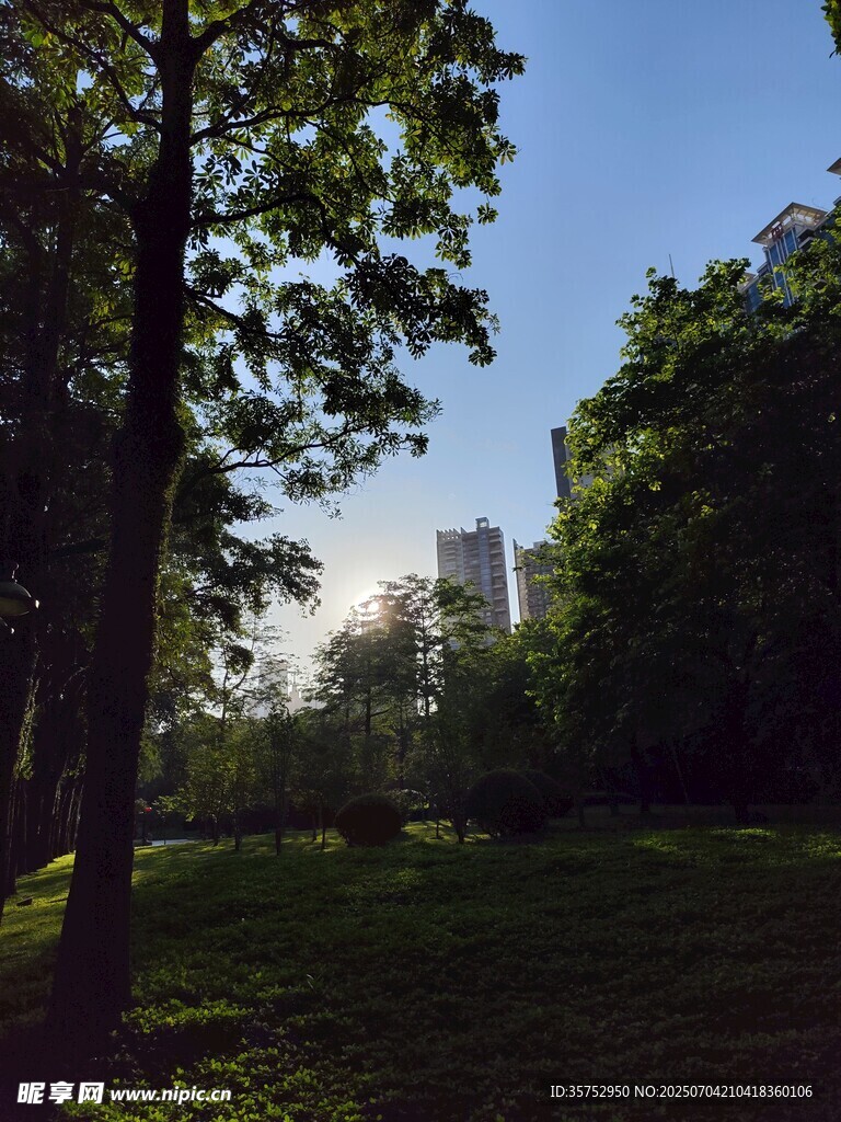 林间草地与远处建筑