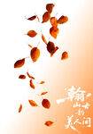 飘落的秋叶